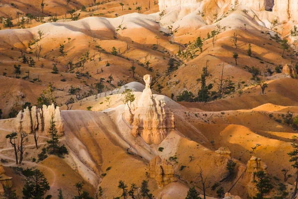 Bela paisagem em Bryce Canyon com forma de pedra magnífica — Fotografia de Stock