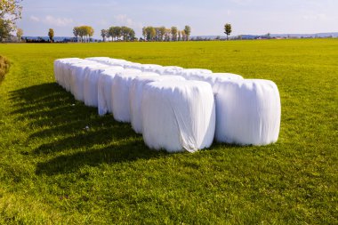 balya saman ba karşı korumak için beyaz plastik folyo paketlenmiş