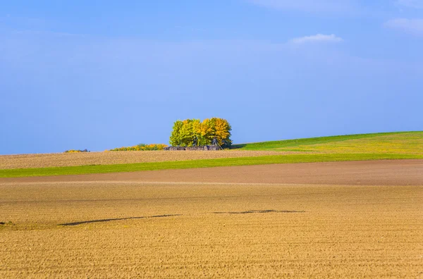 Schöne Landschaft mit Hektar — Stockfoto