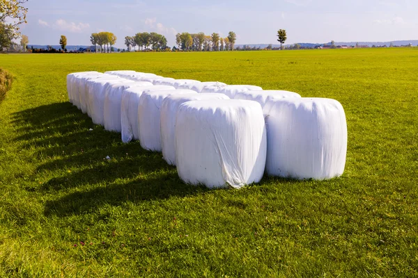 大包的稻草包装的白色塑料箔保护免受 ba — 图库照片
