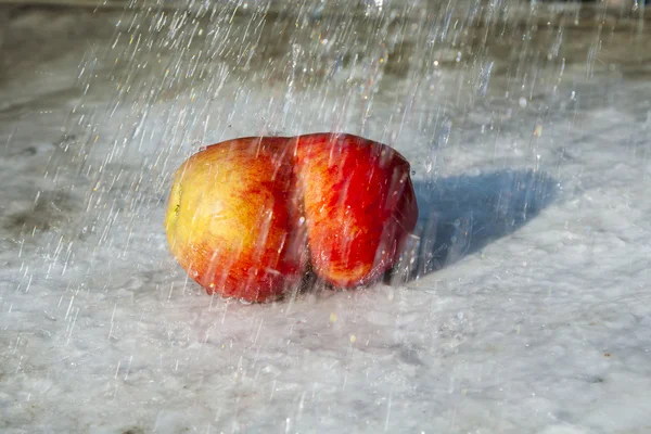 Manzanas frescas con deformaciones divertidas —  Fotos de Stock