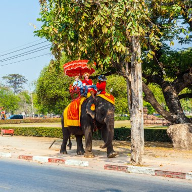 turistler tarihsel parkta bir fil binmek