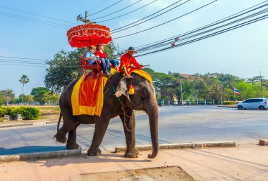 turistler tarihsel parkta bir fil binmek