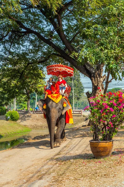 Toeristen rit op een olifant in het historische park — Stockfoto