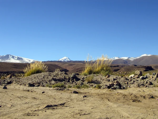 Panorama da Montanha no Deserto do Atacama Chile — Fotografia de Stock