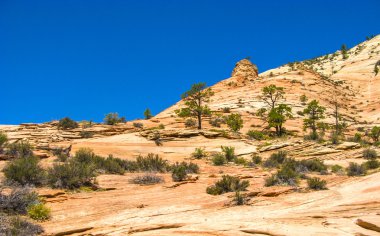 Hint sokak sokak sadaka isteyen dilenci