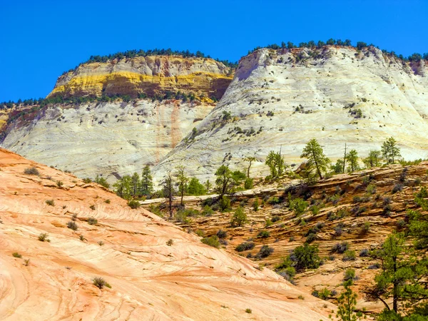 Zion national park — Stok fotoğraf