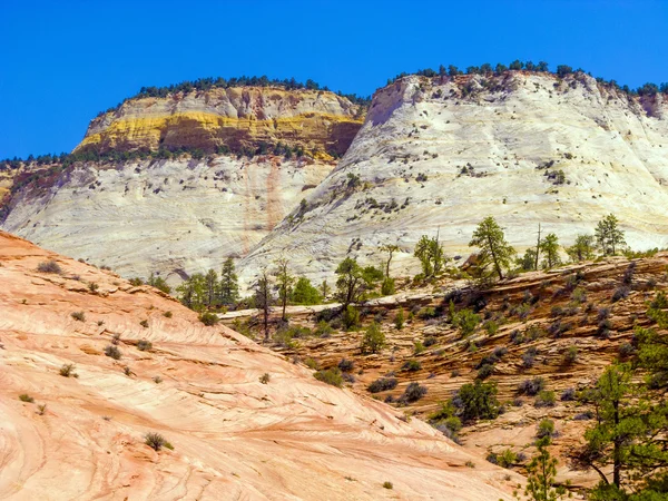 Nationaalpark Zion — Stockfoto