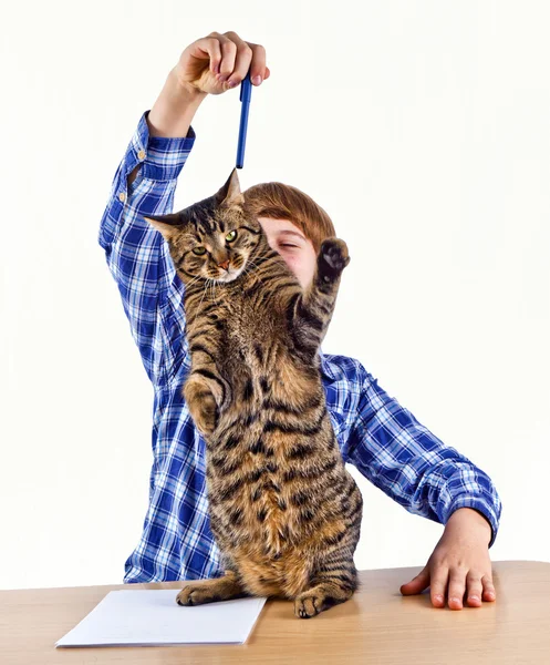 Розумний хлопчик вчиться в школі має перерву і грає зі своїм котом — стокове фото