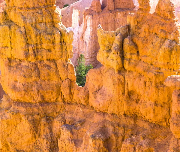 布莱斯峡谷与宏伟石变型美丽景观 — 图库照片