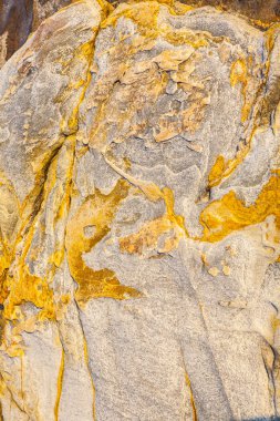 güzel desen taş at coast