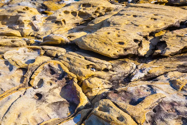 Belo padrão em pedra na costa — Fotografia de Stock