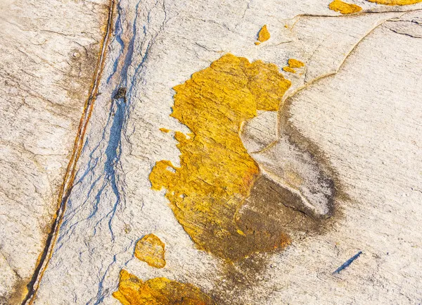 Schönes Muster in Stein an der Küste — Stockfoto