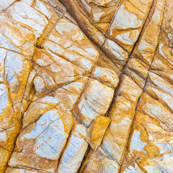 Belo padrão em pedra na costa — Fotografia de Stock