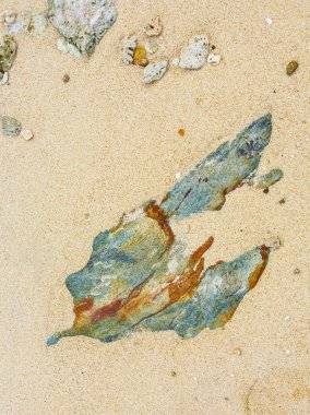 Güzel taşlar, kayalar ilginç harmonik st ile güneş ışığı