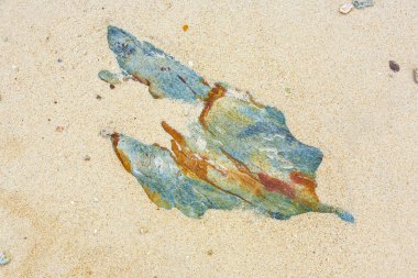 Güzel taşlar, kayalar ilginç harmonik st ile güneş ışığı