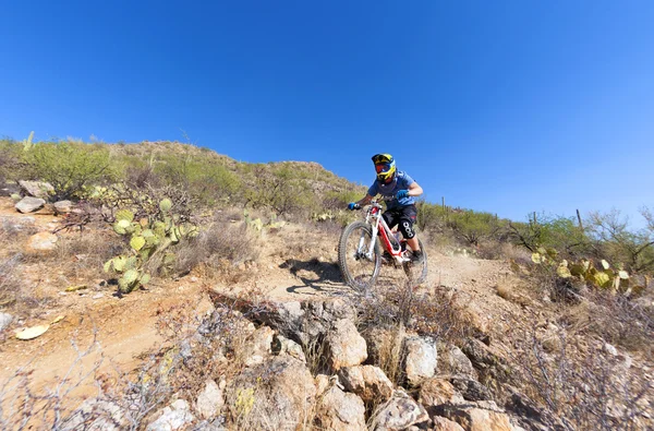 Downhill bike rider — Stock Photo, Image