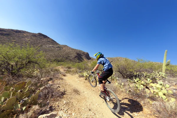 Downhill bike rider — Stock Photo, Image