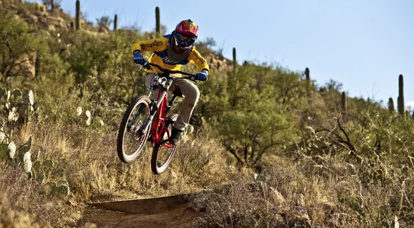 Downhill bike rider riding down the trail — Stock Photo, Image