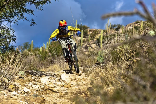 Coureur de vélo de descente sur le sentier Images De Stock Libres De Droits