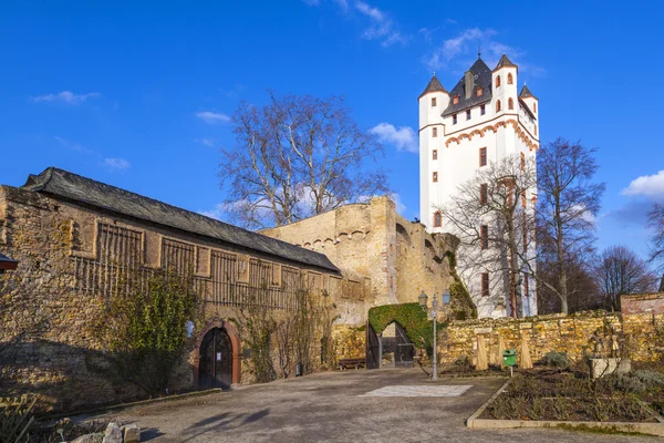 Kasteel in eltville in Duitsland — Stockfoto