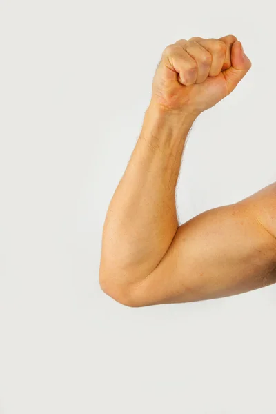 Muscle Diagram Arm - Arm Muscular System Dual View German Diagram