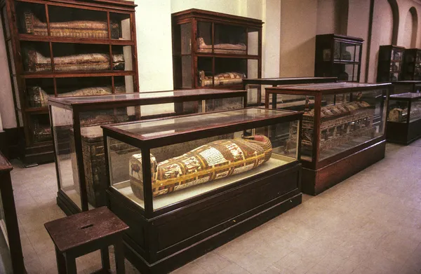 Mummies in het Egyptische museum — Stockfoto