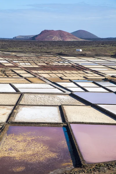 Słynny salinas de janubio w lanzarote, Wyspy Kanaryjskie, Hiszpania — Zdjęcie stockowe