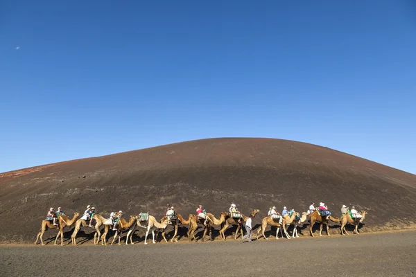 Turistas passeio em camelos sendo guiados por locais — Fotografia de Stock
