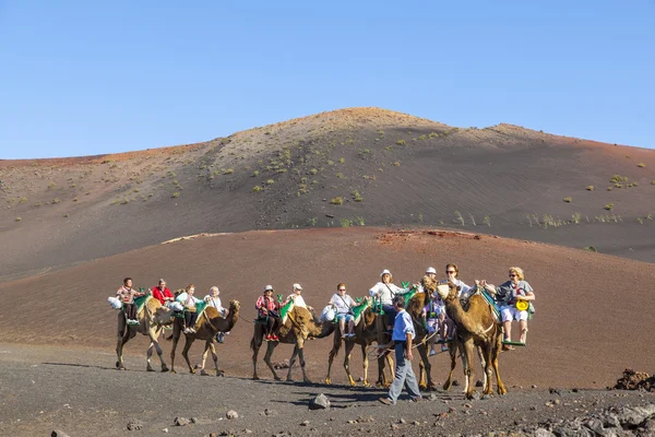 Tourists ride on camels being guided by local — Stock Photo, Image