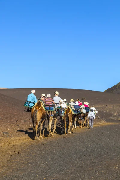 Yerel tarafından yönlendirilen deve turistlerin binmek — Stok fotoğraf