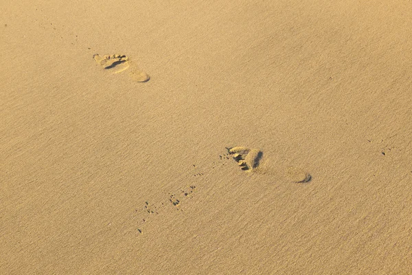 Menselijke voetstappen op het strand — Stockfoto