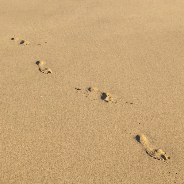 Menschliche Fußstapfen am Strand — Stockfoto