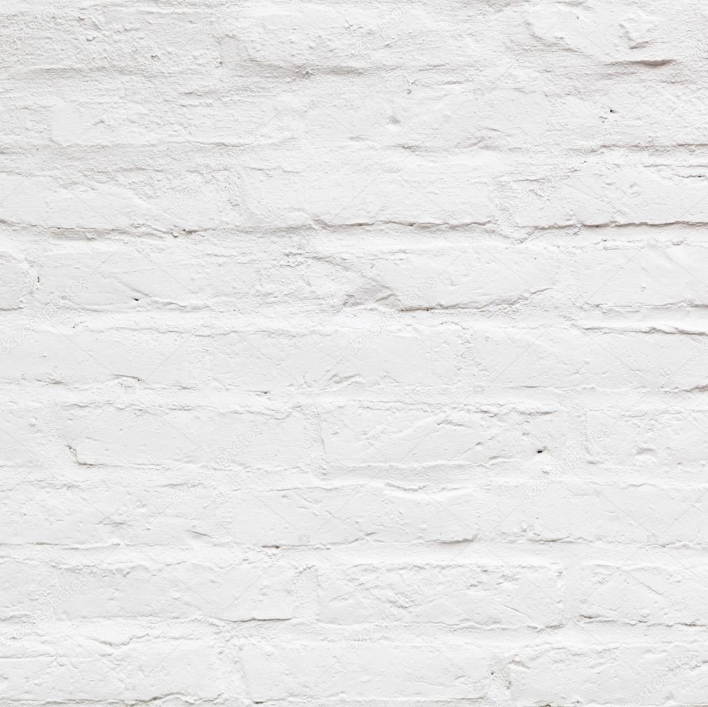 Fondo de pared blanco: fotografía de stock © Hackman #24220555