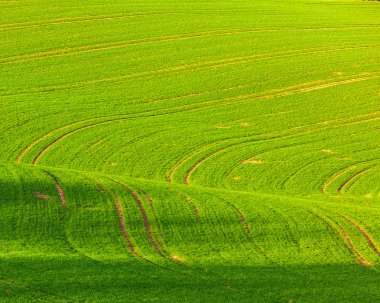 soft lines of fields and meadows in rural area with marks of tra clipart