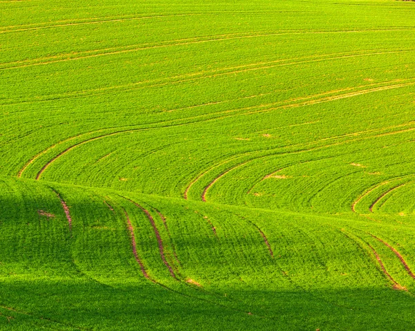 Soft lines of fields and meadows in rural area with marks of tra — Stock Photo, Image