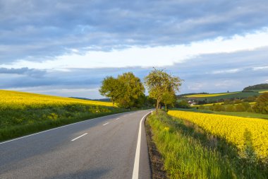Cadde ile tecavüz alan mavi gökyüzü altında