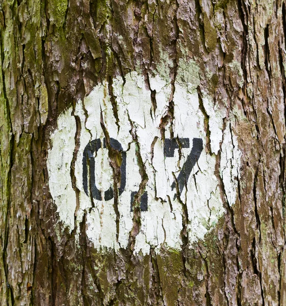 Pattern of trees in forest with distance marker — Stock Photo, Image