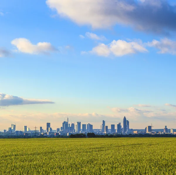 Skyline de Frankfurt con campos en primer plano —  Fotos de Stock