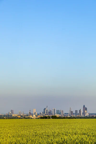 Görünüm alanları ile frankfurt Skyline — Stok fotoğraf