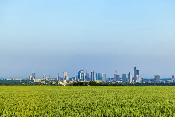 Blick auf die Frankfurter Skyline mit Feldern — Stockfoto