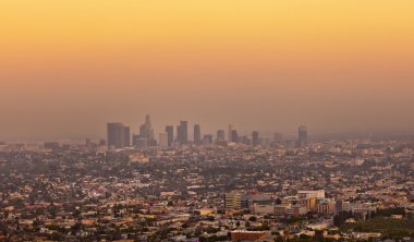 los angeles manzarası