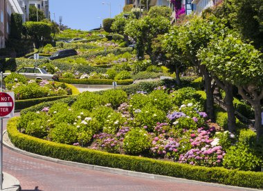 lombard street, crookedest sokak dünyanın görünümünü san