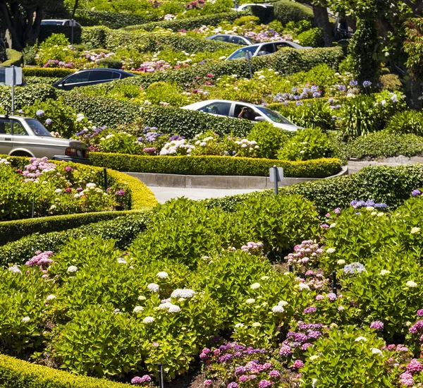 View of Lombard Street, the crookedest street in the world, San — Stock Photo, Image