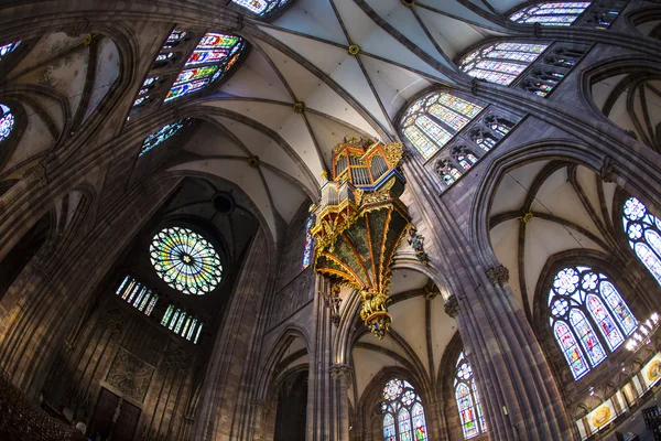 Tak av berömda strassbourg domkyrkan — Stockfoto