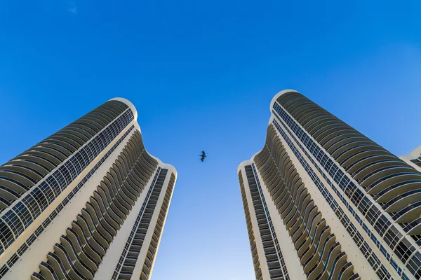 Bird flies between two skyscraper in Sunny-Isles at the beach — Stock Photo, Image
