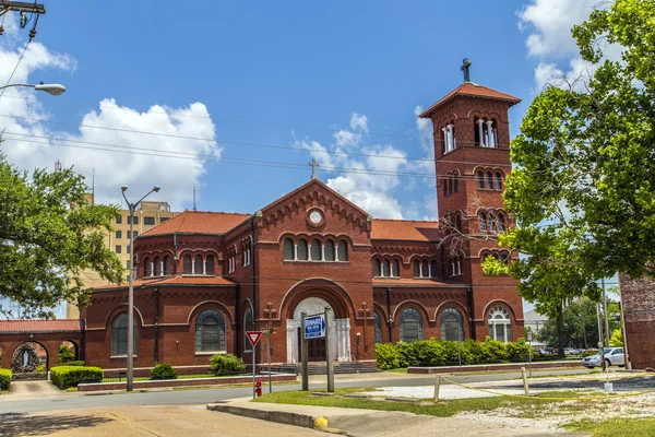 Immaculate Conception ünlü Katedrali — Stok fotoğraf