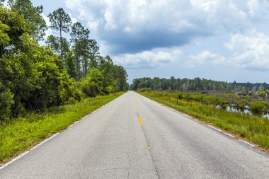 sıcak yaz gününde florida bataklıktan aracılığıyla sokak