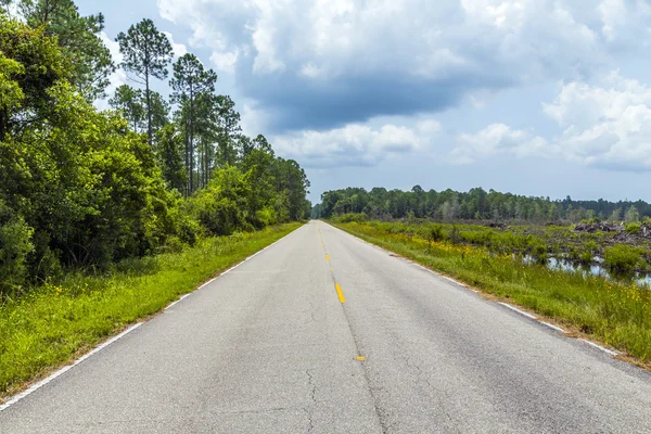 Straße durch den Sumpf von Florida an einem warmen Sommertag — Stockfoto