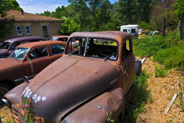 Junk yard with old beautiful oldtimers — Stock Photo, Image